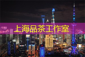 上海的国际羽毛球比赛分析